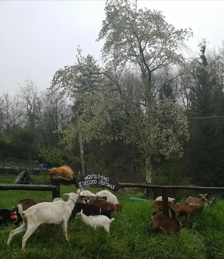 Farm stay Agriturismo Il Vecchio Ospitale Villa Aramo