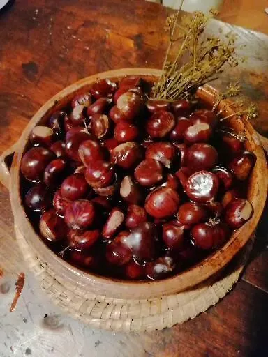 Aramo Agriturismo Il Vecchio Ospitale 빌라 0*,  이탈리아