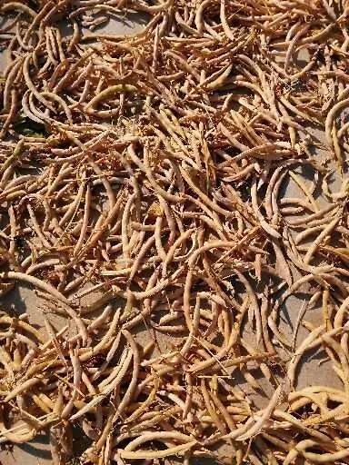 Aramo Agriturismo Il Vecchio Ospitale 빌라 0*,